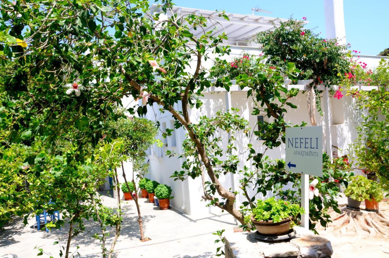 Nefeli Apartment ดริยอส ภายนอก รูปภาพ